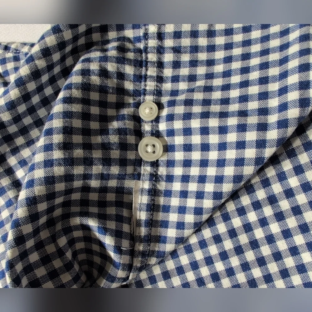 J. Crew Blue and White Casual Button Down Shirt with Gingham Pattern